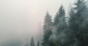 Breathtaking landscape with dense smoke over a serene forest, illustrating air quality alert effects.