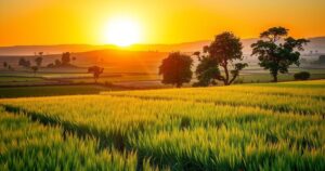 A serene landscape in Kenya with vast fields and a bright sunrise, symbolizing hope and community efforts.
