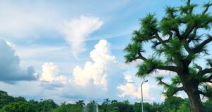 Partly cloudy skies over a lush landscape showcasing cooler temperatures in Orlando, Florida, ahead of hurricane season.